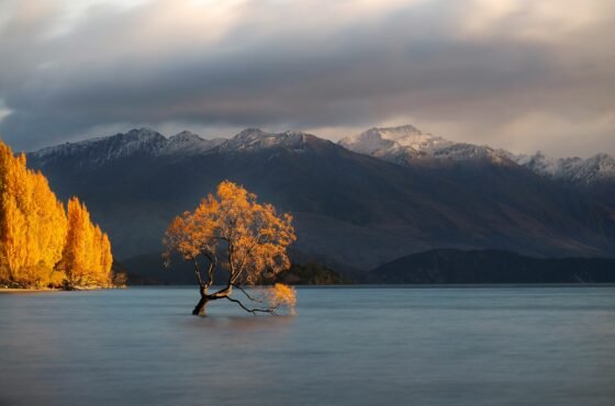 Queenstown to Blue Pools & Wanaka Private Day Tour