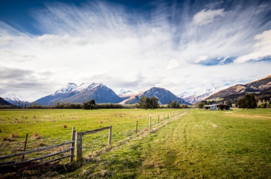 Queenstown to Glenorchy Private Day Tour
