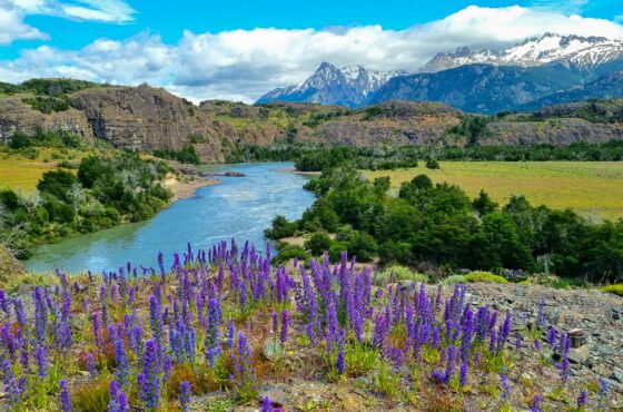 Central Otago & Gibbston Valley Wine Private Day Tour